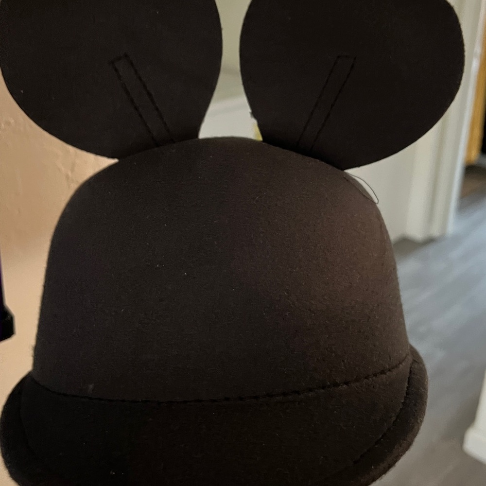All Ears Hat - Picture 6 of 7